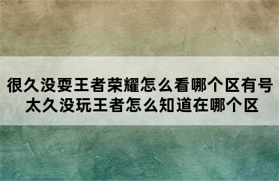 很久没耍王者荣耀怎么看哪个区有号 太久没玩王者怎么知道在哪个区